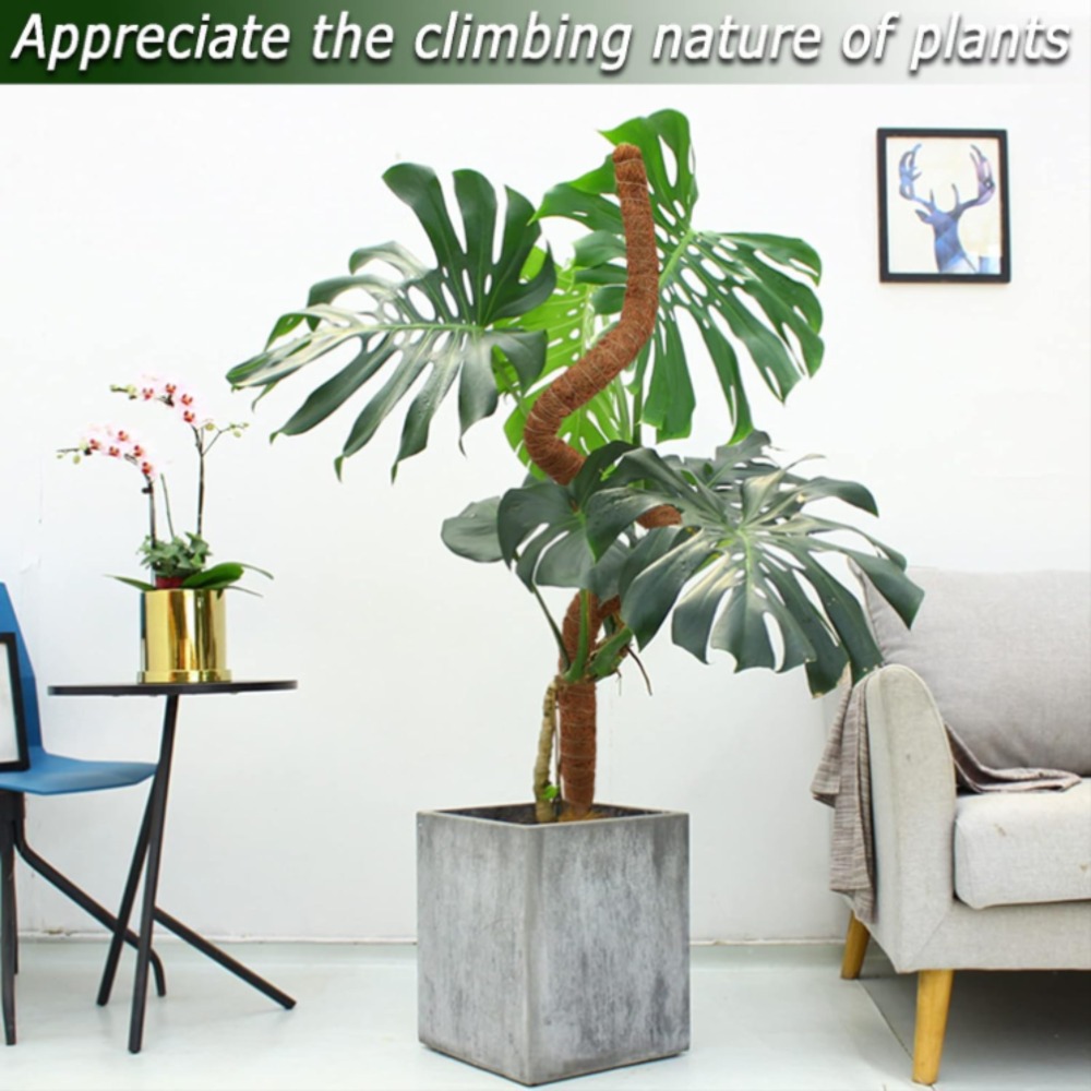 30-100cm Bendable Plants Climb - огляд і ціна Sphagnum Moss Dry