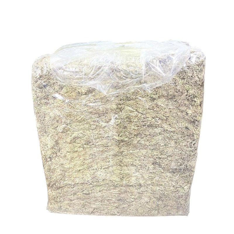 5KG Sphagnum Moss Bulk Compres - огляд і ціна Sphagnum Moss Dry