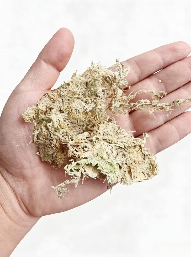Premium Sphagnum Moss for Orch - огляд і ціна Sphagnum Moss Dry